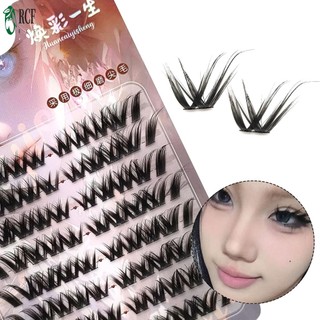 Cụm lông mi nữ Devil Elf Phân đoạn nối mi tự nhiên