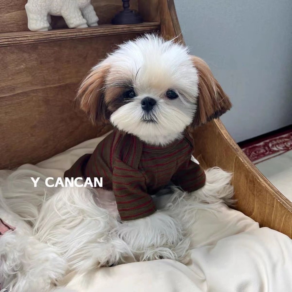 Mùa Xuân Thu Đông Quần Áo Cho Chó Thú Cưng Quần Áo Mèo Chó Bichon Teddy Chống Trơn