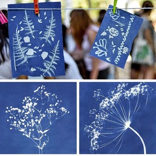 RISEDUT 24 Chiếc Cyanotype, Giấy In Mặt Trời, Tranh Bạc Sáng Tạo, Giấy In Sợi Tự Nhiên Cho Trẻ Em / Người Lớn