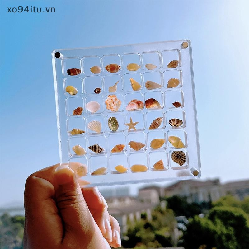 XOITU Acrylic Từ Seashell Hộp trưng bày Seashell Clear Starfish Trinket Organizers 36 / 64 / 100 Lưới Hộp đựng vỏ sò VN