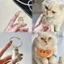 Bộ sưu tập tóc thú cưng di động hàng đầu Phụ kiện thiết kế dễ dàng mang theo