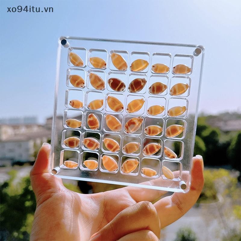 XOITU Acrylic Từ Seashell Hộp trưng bày Seashell Clear Starfish Trinket Organizers 36 / 64 / 100 Lưới Hộp đựng vỏ sò VN