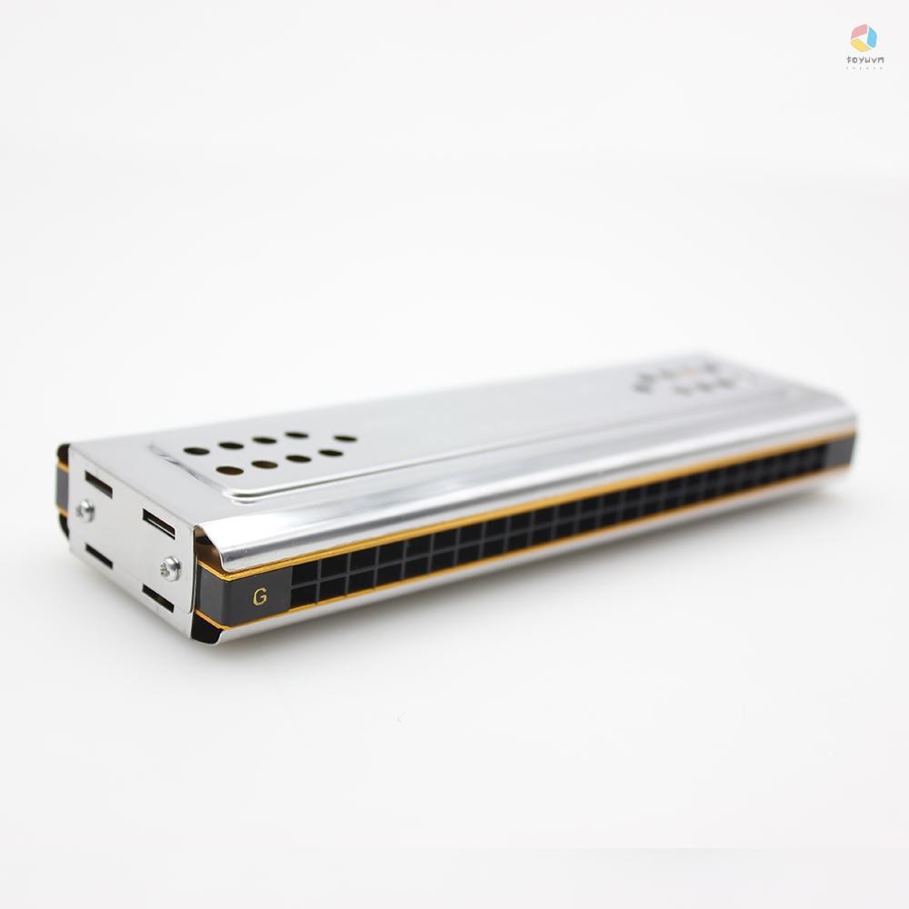 Swan 2 trong 1 Hai mặt Tremolo Harmonica Miệng Organ Chìa khóa âm trầm của C & G 24 lỗ đôi Dụng cụ gió sậy có hộp đệm Vải làm sạch