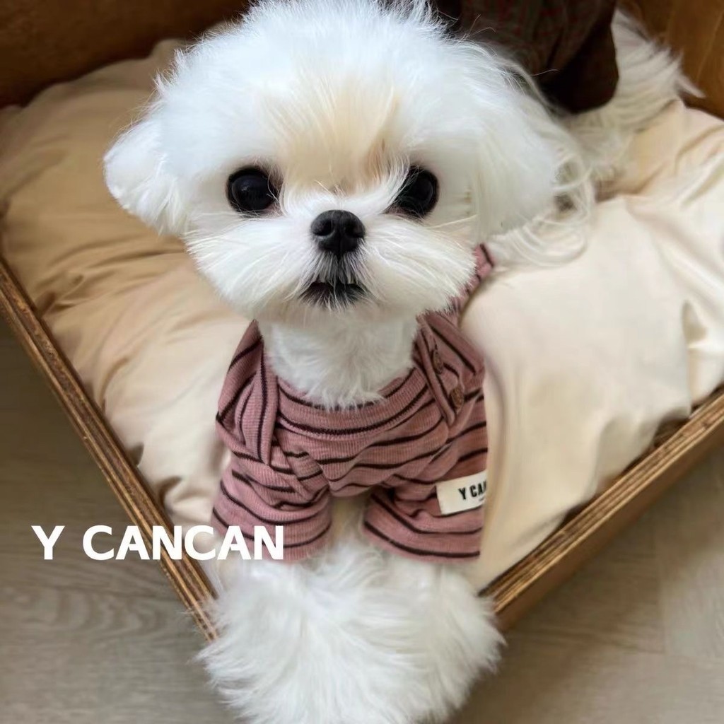Mùa Xuân Thu Đông Quần Áo Cho Chó Thú Cưng Quần Áo Mèo Chó Bichon Teddy Chống Trơn