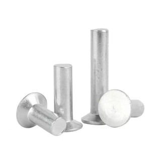 (((LXY) Đinh tán Đầu Đầu phẳng nhôm M2 / M2.5 / M3 / M4 / M5 / M6 / M8 (RM-VN-1)
