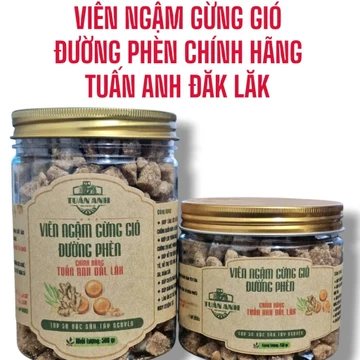 VIÊN GỪNG NGẬM Trà Gừng Gió Đường Phèn Chính Hãng Tuấn Anh Đăk Lăk ( Gừng Rừng Tây Nguyên)