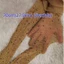 Quần lưới cá NICOLOO, Vớ mỏng khoan nóng, Thời trang thoáng khí lấp lánh Lưới nhỏ Fishnet Quần nữ Cô gái
