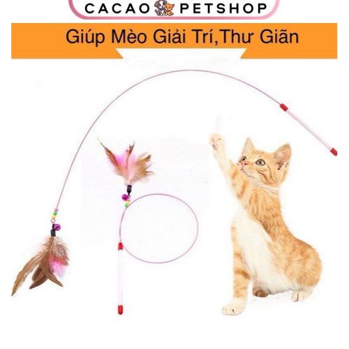 Cần câu mèo đồ chơi cho mèo đồ chơi tương tác với thú cưng - Cacao