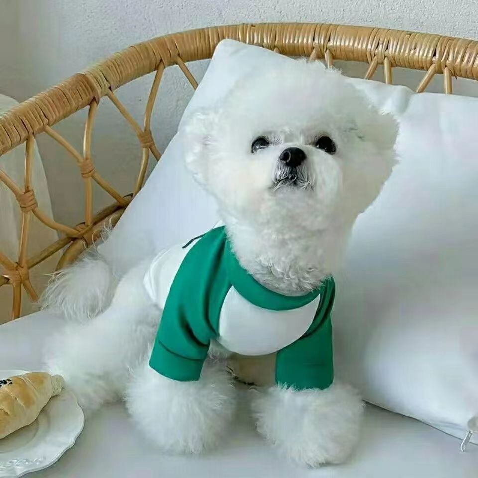 Mùa Xuân Phong Cách Mùa Thu Xanh Trắng Khâu Thú Cưng Áo Mèo Chó Quần Áo Chó Teddy