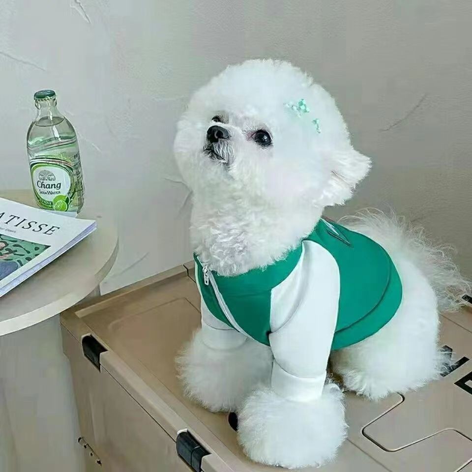 Mùa Xuân Phong Cách Mùa Thu Xanh Trắng Khâu Thú Cưng Áo Mèo Chó Quần Áo Chó Teddy