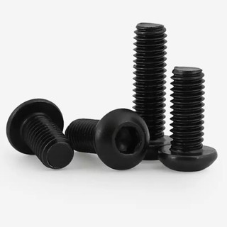 ((LXY) Vit /Ốc Vít  pake đầu tròn inox 304 Đen /Bulong  Đầu Tròn M2 / M2.5 / M3 / M4 / M5 / M6 / M8 * L: 3-60mm (RM-VN-1)