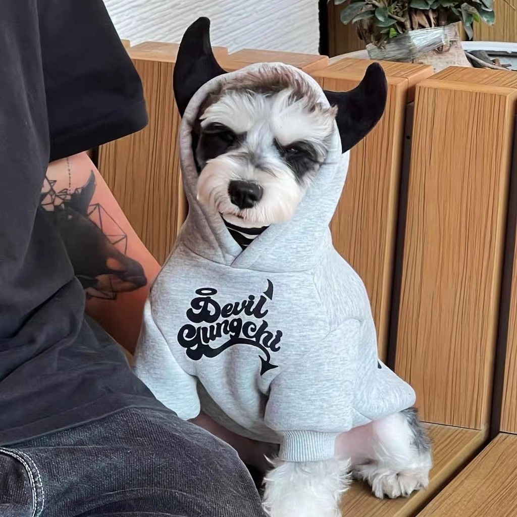 Áo nỉ lót lông cừu mùa thu đông cho thú cưng Bichon Schnauzer giữ ấm
