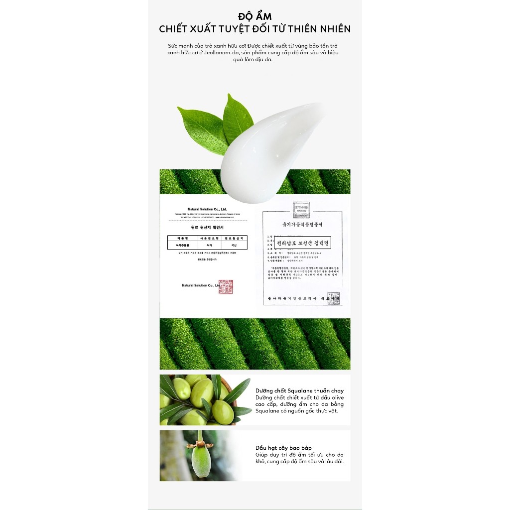 Kem dưỡng ẩm làm sáng và cải thiện nếp nhăn BONAJOUR GREEN TEA WATER CREAM 100ml | DAMDAVN