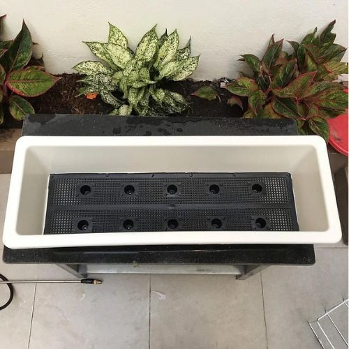 nắng Combo 10 Chậu trồng rau, chậu nhựa trồng hoa ,trồng cây cảnh thông minh dày đẹp remoingay.90 AMIZIN