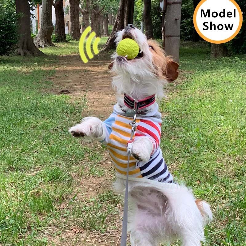 LaRoo Cao Su Chó Răng Hàm Đồ Chơi Squeaky Tương Tác Chó Con Nhai Bóng Có Âm Thanh Cho Nhỏ Vừa Chó Ném Huấn Luyện Fetch Accessori