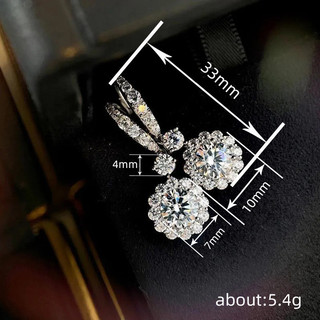 S925 Hoa Bạc Zircon Bông Tai Trang Sức Thời Trang Đơn Giản Quà Tặng Nữ
