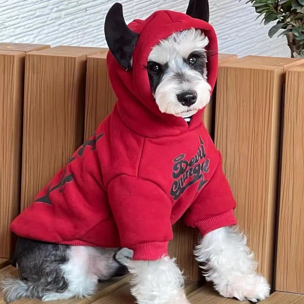 Áo nỉ lót lông cừu mùa thu đông cho thú cưng Bichon Schnauzer giữ ấm