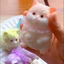 Đồ chơi bóp búp bê mèo QEARY, Đồ chơi bóp mô phỏng động vật hoạt hình, Đồ chơi bóp mèo Mini ngộ nghĩnh mềm mại phục hồi chậm cho mèo Fidget Đồ chơi người lớn