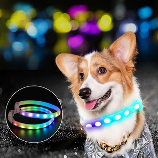 Vòng cổ cho chó - 11 màu Sáng cổ chó LED Vòng cổ chó USB Vòng cổ chó có thể sạc lại để đi bộ ban đêm Huấn luyện an toàn & Hỗ trợ hành vi
