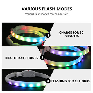 Vòng cổ cho chó - 11 màu Sáng cổ chó LED Vòng cổ chó USB Vòng cổ chó có thể sạc lại để đi bộ ban đêm Huấn luyện an toàn & Hỗ trợ hành vi