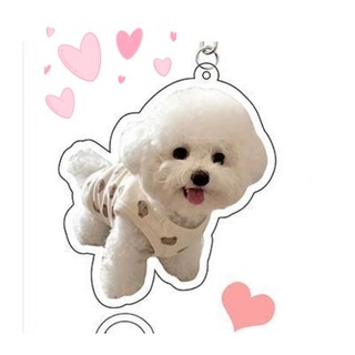 Móc khóa in hình chó mèo siêu cute-ĐH