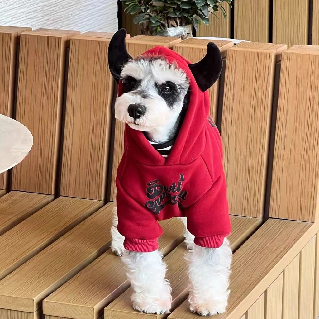 Áo nỉ lót lông cừu mùa thu đông cho thú cưng Bichon Schnauzer giữ ấm