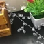 Vòng hoa rèm JKDESIGN, hạt pha lê trong suốt acrylic, phụ kiện sân khấu đẹp