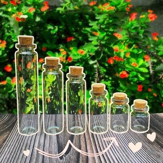 Lọ thủy tinh nhỏ nút bần ĐÁY 2.2/3CM - Chai thủy tinh nhỏ nắp gỗ mini ALINE