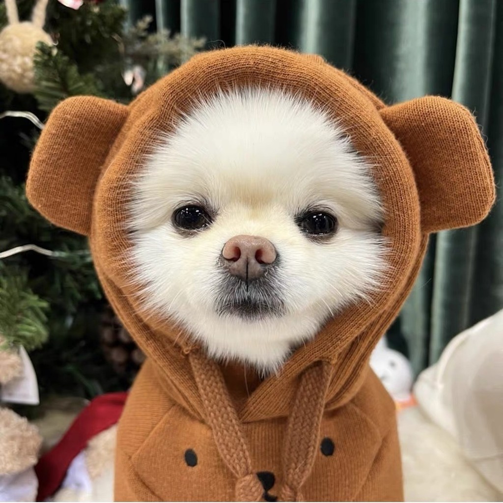 Quần áo thú cưng Puppy Mùa thu đông Áo có mũ trùm đầu dày