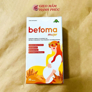 Bộ ba dưỡng chất Sắt - Canxi - DHA cho mẹ bầu, mẹ sau sinh, người trưởng thành Aplicaps - Ferrolip