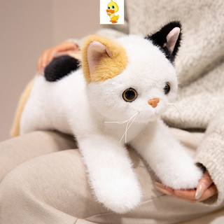 PLUS✨Mới✨Mô Phỏng Dễ Thương Sang Trọng Đồ Chơi Mèo Vui Nhộn Mèo Đen Mèo Trắng Sang Trọng Đồ Chơi Trẻ Em Ngày Lễ Quà Tặng Cặp Đôi Bạn Gái Quà Tặng Giáng Sinh Sang Trọng Búp Bê Quà Tặng