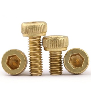 ((LXY) ốc lục giác/ốc lục giác chìm/Ốc Vít Lục Giác /Ốc Vít  Lục Giác  loa/bulong Lục Giác chìm đầu trụ trơn  đồng M2 / M2.5 / M3 (RM-VN-1)