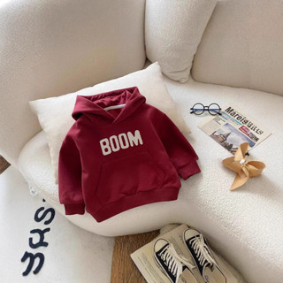 Áo nỉ hoodie nữ trùm đầu cho mùa thu đông