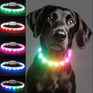 Vòng cổ cho chó - 11 màu Sáng cổ chó LED Vòng cổ chó USB Vòng cổ chó có thể sạc lại để đi bộ ban đêm Huấn luyện an toàn & Hỗ trợ hành vi