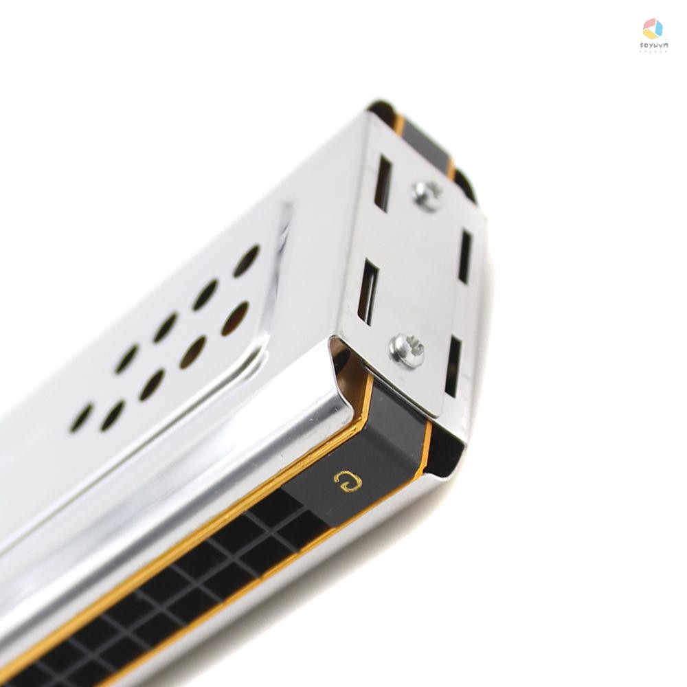 Swan 2 trong 1 Hai mặt Tremolo Harmonica Miệng Organ Chìa khóa âm trầm của C & G 24 lỗ đôi Dụng cụ gió sậy có hộp đệm Vải làm sạch