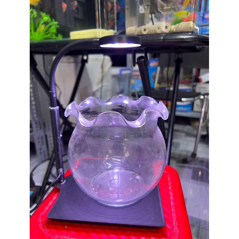 Bộ Đế Nhựa Kèm Đèn Led 3 Chế Độ Màu (5w) Để Trang  Bể Cá 15x15x33cm
