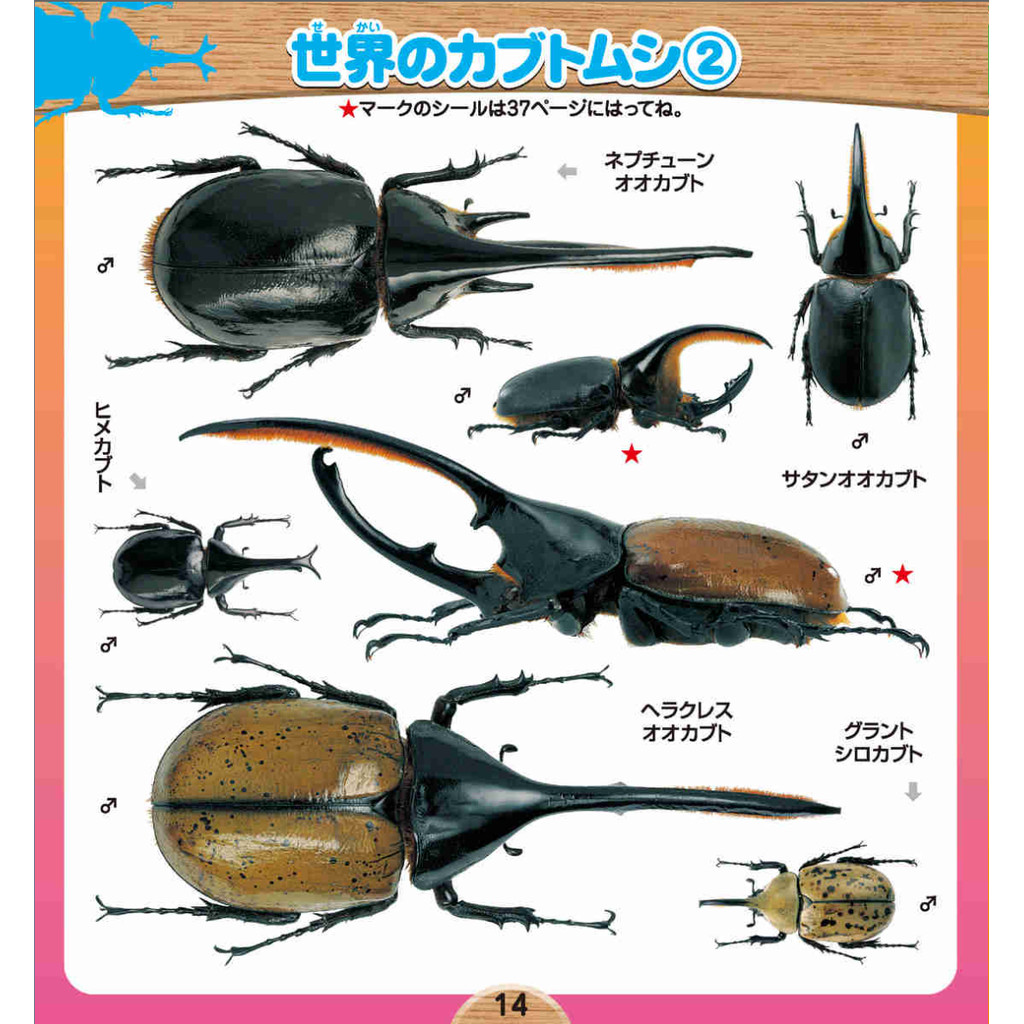 Shogakukan's Illustrated Encyclopedia NEO Beetles and Stag Beetles Seal (Complete Seal Book)ㅤDirect From Japan
