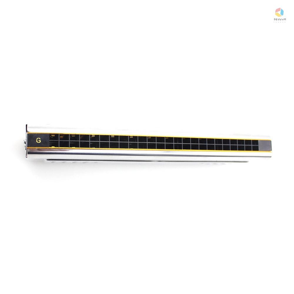 Swan 2 trong 1 Hai mặt Tremolo Harmonica Miệng Organ Chìa khóa âm trầm của C & G 24 lỗ đôi Dụng cụ gió sậy có hộp đệm Vải làm sạch