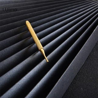 Luimo 1 Đồng Tai Châm Cứu Điểm Thăm Dò Dụng Cụ Massage Bấm huyệt Phát Hiện Bút SBS