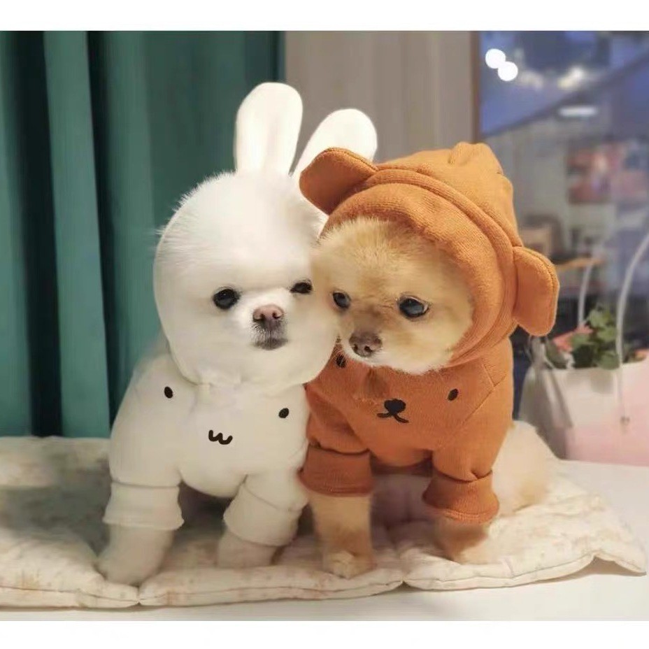 Quần áo thú cưng Puppy Mùa thu đông Áo có mũ trùm đầu dày