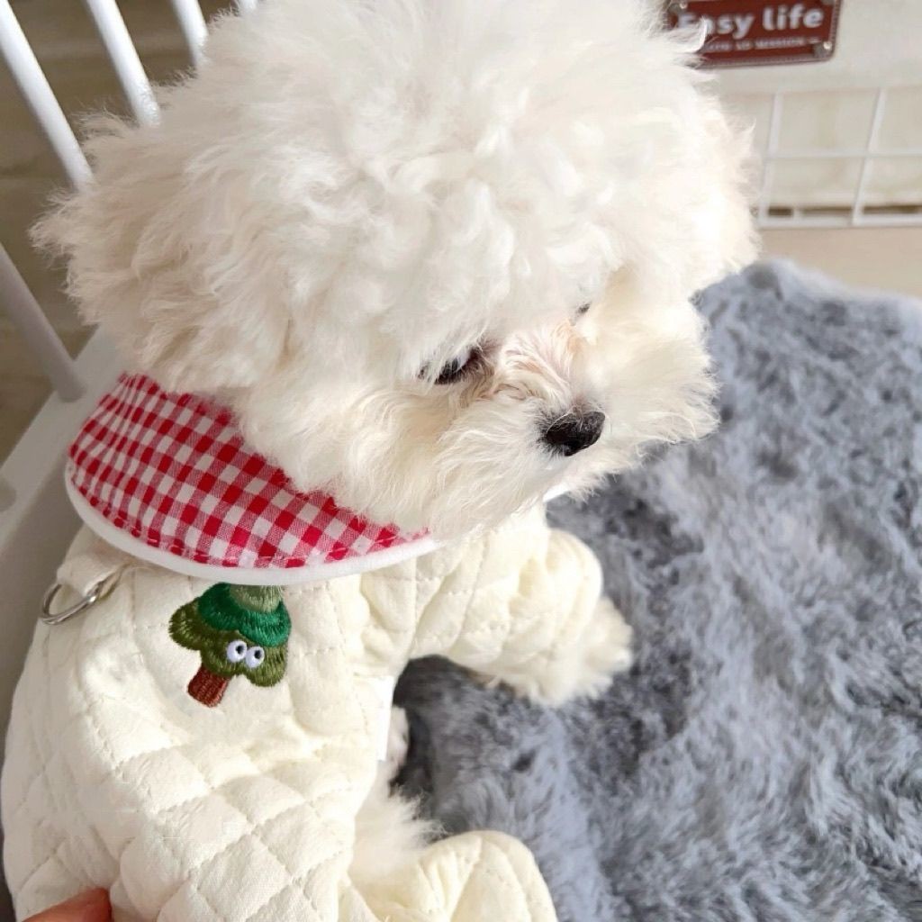Pet Bichon Dog Quần áo mùa đông Quần áo đệm bông bốn chân màu đỏ Quần áo mèo