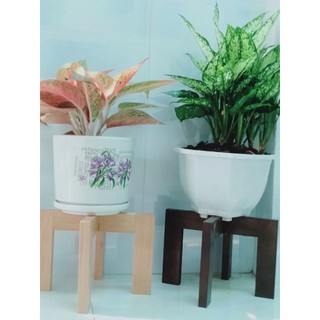 Đôn để chậu cây Cao 17cm x Rộng 25cm, gỗ tự nhiên, kệ để chậu hoa , Giá gỗ chân dẹp