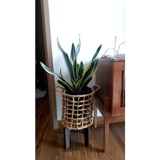 Đôn để chậu cây Cao 17cm x Rộng 25cm, gỗ tự nhiên, kệ để chậu hoa , Giá gỗ chân dẹp