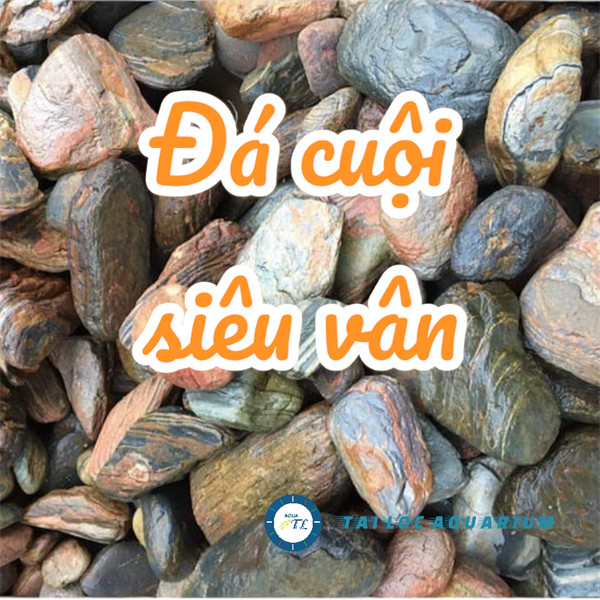 Trang trí bể cá: Đá cuội, sỏi, sạn suối (1kg) tổng hợp làm layout thủy sinh, bể cá trở nên sinh động