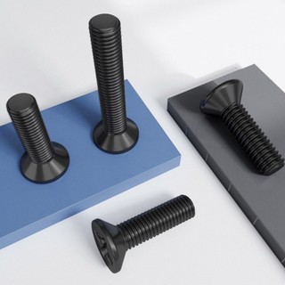 ((LXY) Ốc Vít Đầu Dẹt Đen inox 304  /Ốc vít đầu pake dẹp mỏng phẳng   Chuyên Dụng  KM Vít M2 / M2.5 / M3 / M4 / M5 / M6 * L: 3-50mm (RM-VN-1)