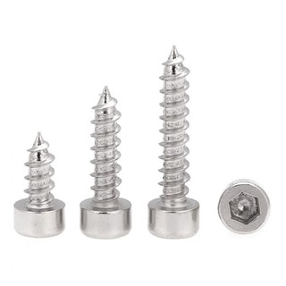 ((LXY) Vít Đầu Tròn/Ốc Vít Đầu Lục Giác  Bằng  Mạ niken M1.7 / M2 / M2.3 / M2.6 / M3M3.5 / M4 / M5 / M6 * L4-60mm (RM-VN-1)