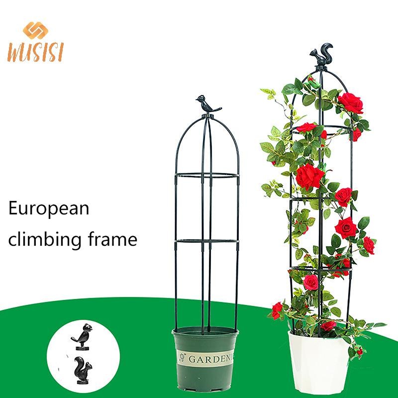[Wusisi] 1 Bộ Cây Leo Trellis Lồng Hỗ Trợ Sân Vườn Cho Hoa Cây Khung Hỗ Trợ Trellis Leo Hoa Tự Làm Cây Nho Nồi Chân Đế MỚI