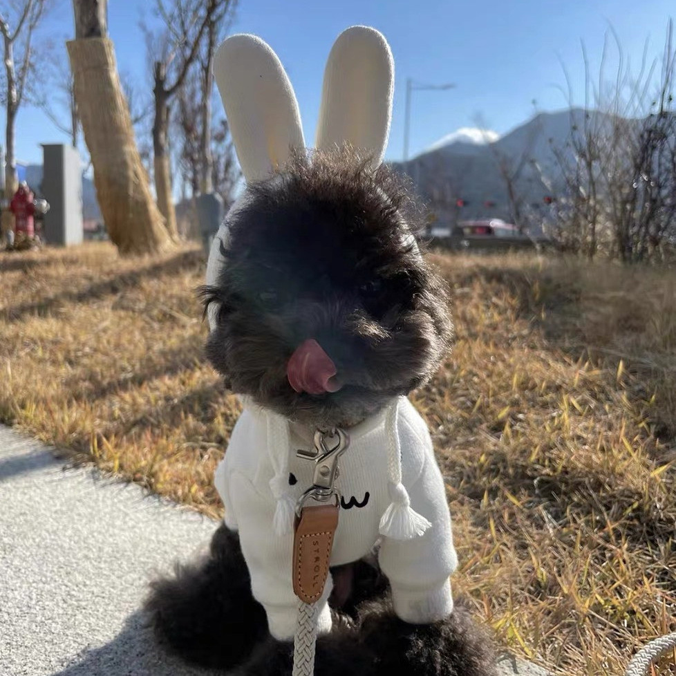 Quần áo thú cưng Puppy Mùa thu đông Áo có mũ trùm đầu dày