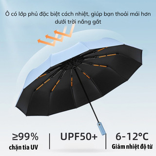 Dù Gấp Tự Động 2 Chiều Bunnies Ô Gấp Gọn 20 Sườn Che Mưa Chống Thấm Tia Nắng UV Cực Tốt