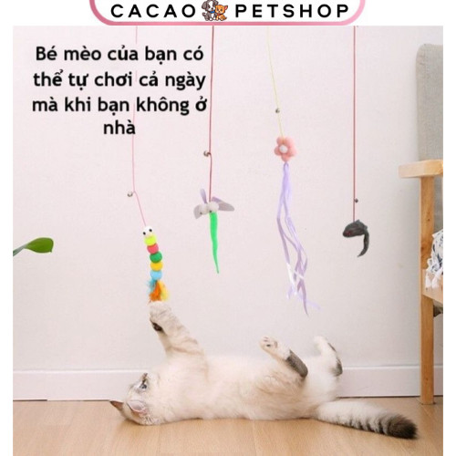 Đồ chơi gắn tường tự chơi có dây đàn hồi cho mèo - Sâu gắn tường có chuông cho chó mèo - Cacao